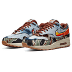 Concepts x Nike Air Max 1 SP 'Heavy'