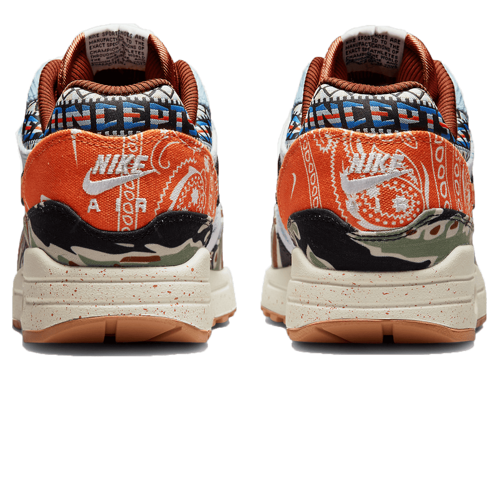 Concepts x Nike Air Max 1 SP 'Heavy'