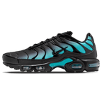 Nike Air Max Plus 'Black Dusty Cactus'