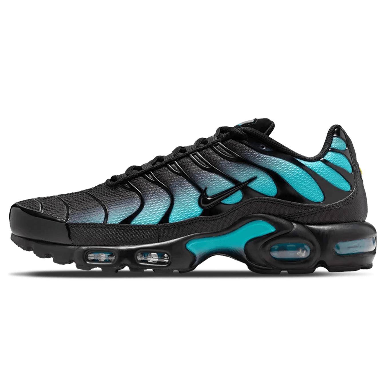 Nike Air Max Plus 'Black Dusty Cactus'