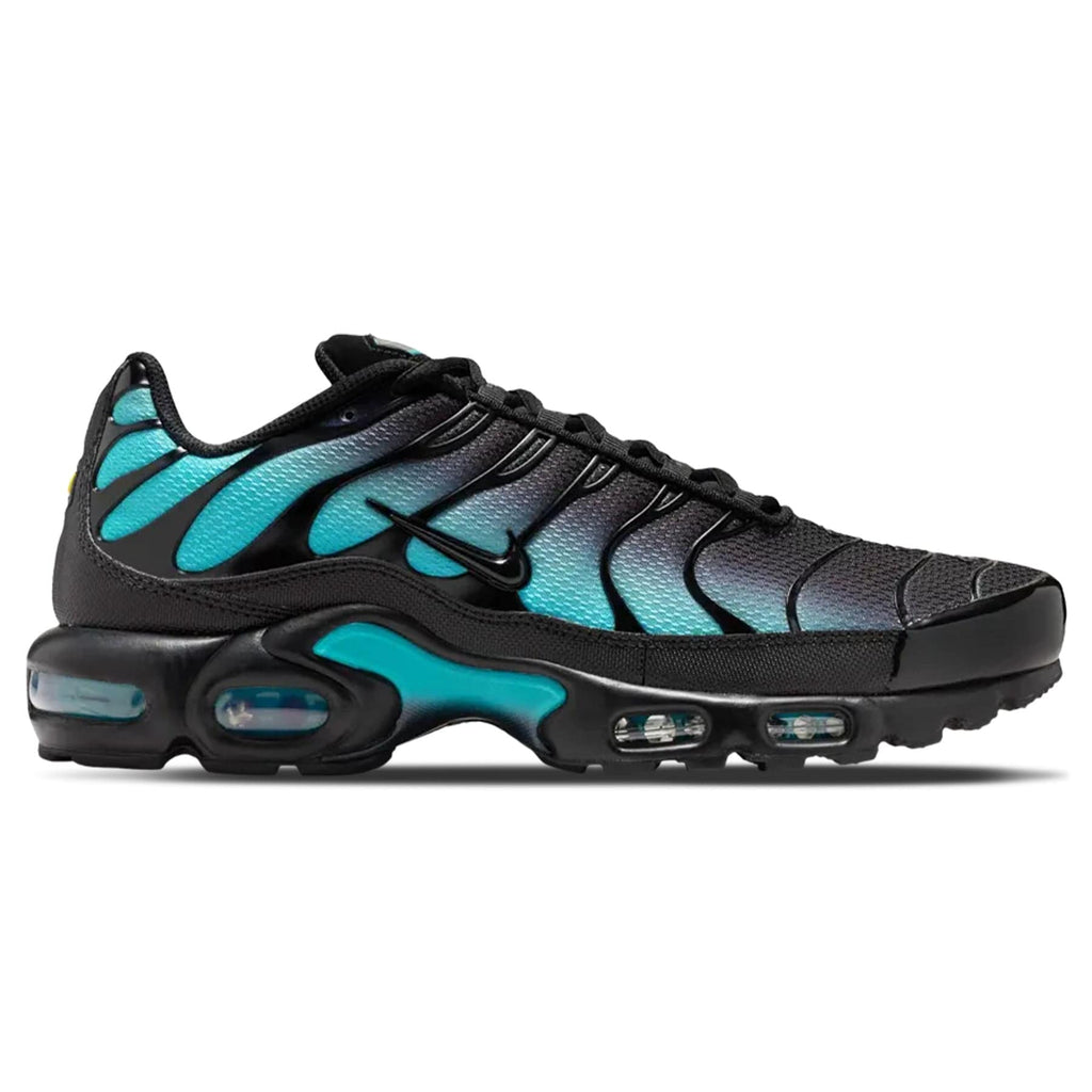 Nike Air Max Plus 'Black Dusty Cactus'
