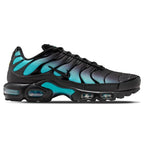 Nike Air Max Plus 'Black Dusty Cactus'