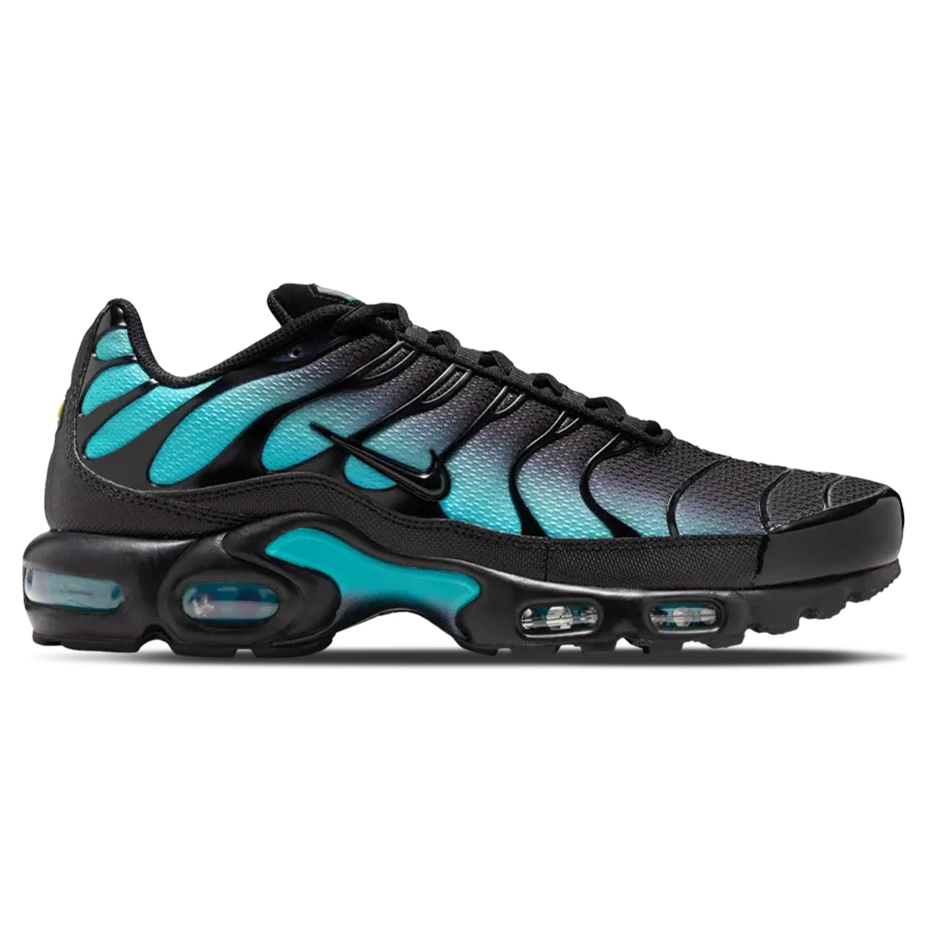Nike Air Max Plus 'Black Dusty Cactus'