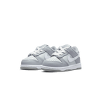 Nike Dunk Low TD 'Wolf Grey'