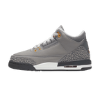 Air Jordan 3 Retro GS 'Cool Grey' 2021