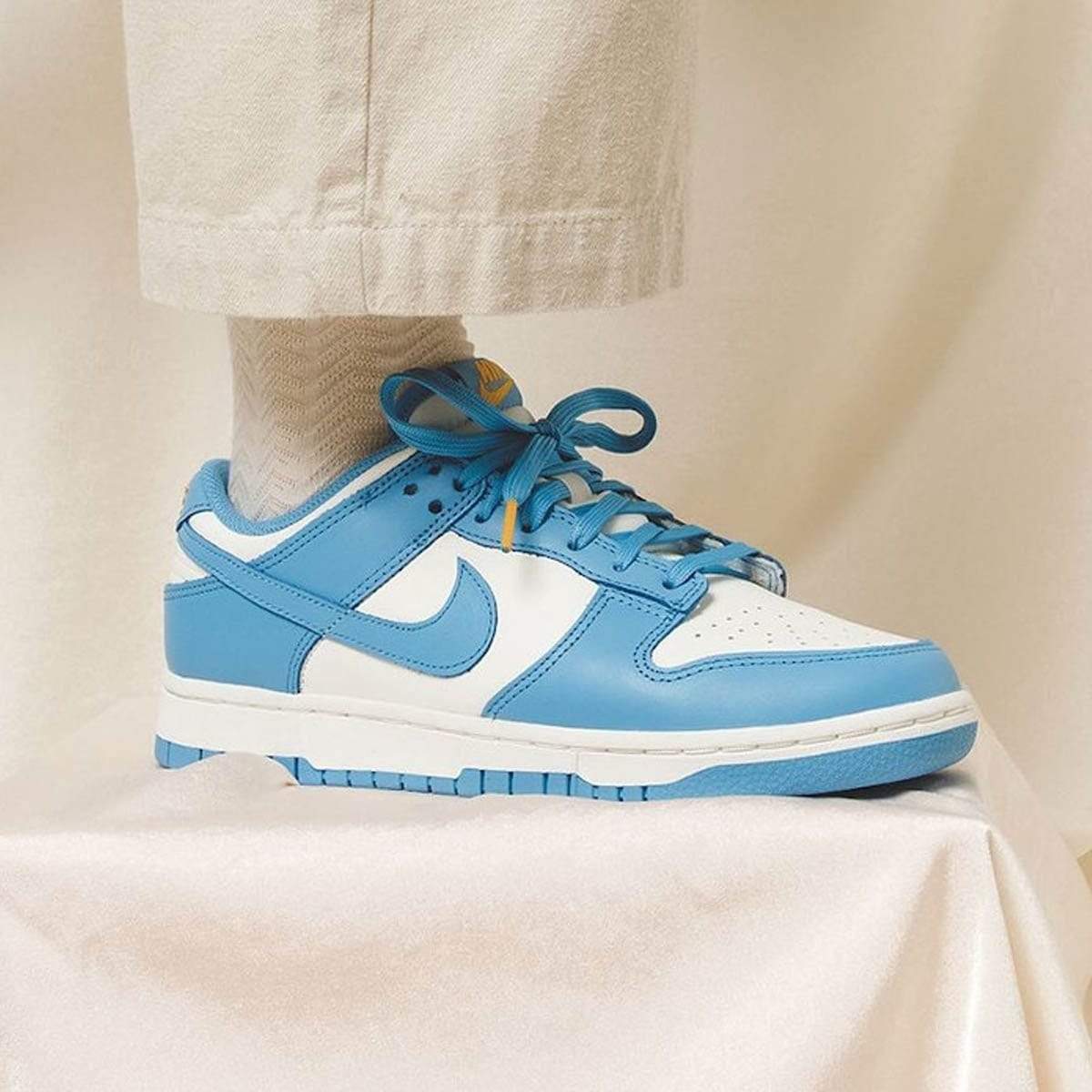 Nike Dunk Wmns Low 'Coast'