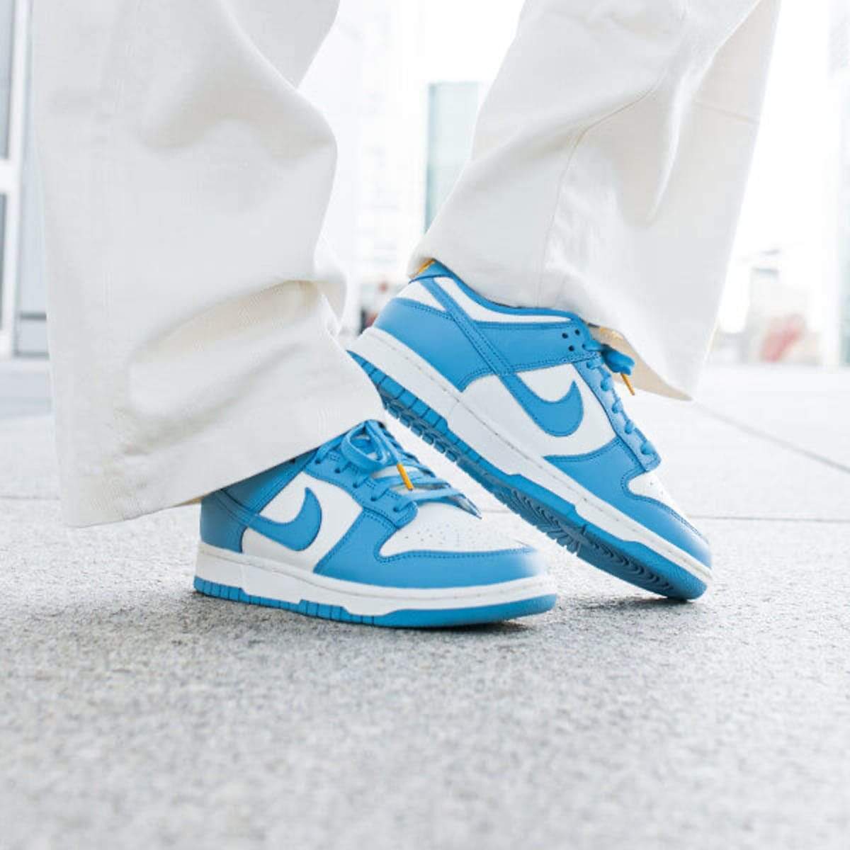 Nike Dunk Wmns Low 'Coast'