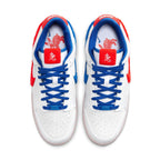 Nike Dunk Low 'Spray Paint Swoosh'